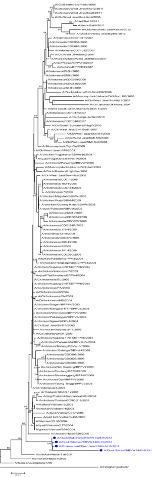 Gambar 4. Pohon filogenetika gen M1 