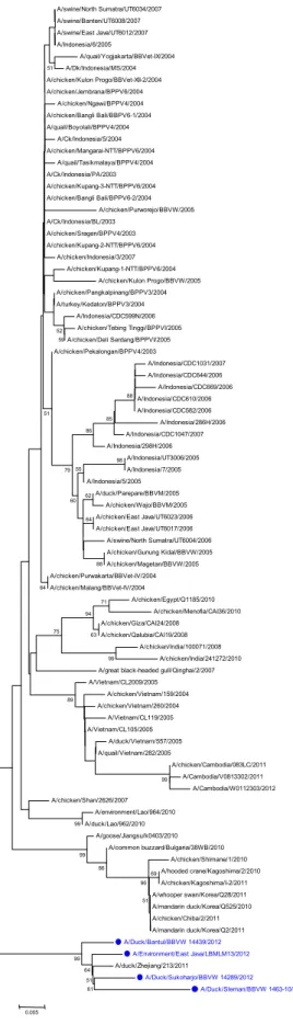 Gambar 6. Pohon Filogenetika gen NP 