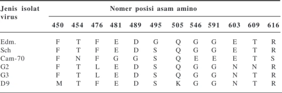 Tabel 2.  Perbedaan Asam Amino pada Situs Kontak CD46