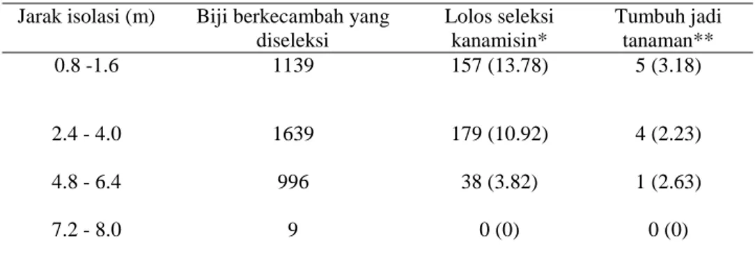 Tabel 2 Perpindahan gen melalui persilangan alami berdasarkan seleksi kanamisin pada berbagai jarak isolasi