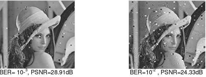Figure 3. Received image using DWT and VQ compression with different BER 