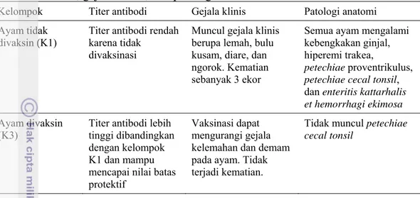 Tabel 6 Evaluasi perbandingan antara kelompok K1 dan K3 terhadap kondisi titer     antibodi, gejala klinis, dan patologi anatomi 