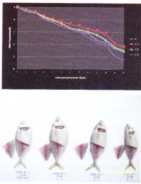 Gambar.1. Nilai perlakuan orgonoleptik ikan kembung dengan9% johe selama penyimpanon dingin