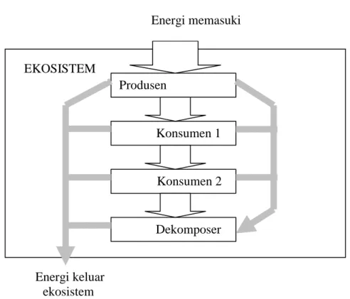 Gambar 2.1 Model Sederhana Aliran Energi Pada Tiga Aras Trofi di  Ekosistem melalui sistem trofi 22