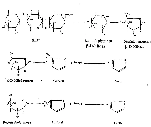 Gambar 6. Struktur Lignin (Girard, 1992) 