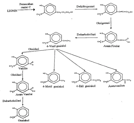 Gambar 7. Mekanisme pirolisis lignin dari kayu lunak (Girard, 1992). 