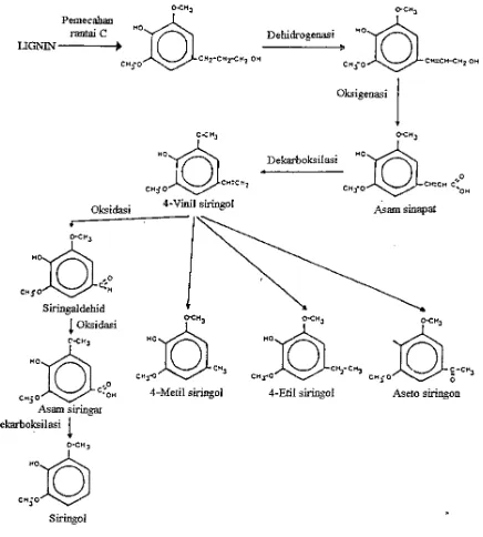 Gambar 8. Mekanisme pirolisis lignin dari kayu keras (Girard, 1992). 