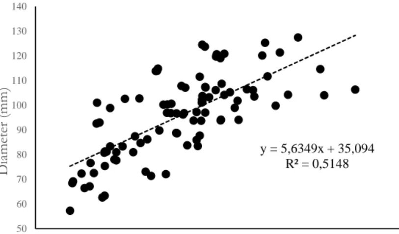 Gambar 3. Hubungan antara diameter dengan tebal dinding bambu betung     Figure 3. Relationship between diameter and wall thickness of betung bamboo  B