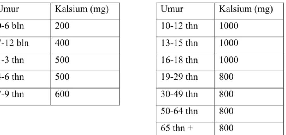 Tabel  1.  Angka Kecukupan  Gizi  Kalsium  Rata-rata  yang  Dianjurkan  (per  orang  per hari)-2004 Anak  Umur  Kalsium (mg) 0-6 bln 200 7-12 bln 400 1-3 thn 500 4-6 thn 500 7-9 thn 600