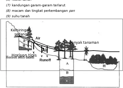 Gambar 3. 2.  Relief dan Pembentukan Tanah.