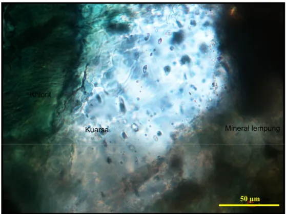 Gambar 2. Inklusi liquid-rich di dalam kuarsa sekunder yang menggantikan massa dasar