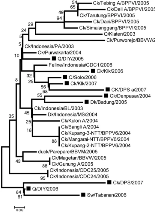 Gambar 2. Hubungan evolusioner fragmen amino-terminus gen PB2 dari VAI H5N1 yang dipelajari dalam penelitian ini (tanda kotak hitam) dengan berbagai virus  yang diperoleh dari GeneBank