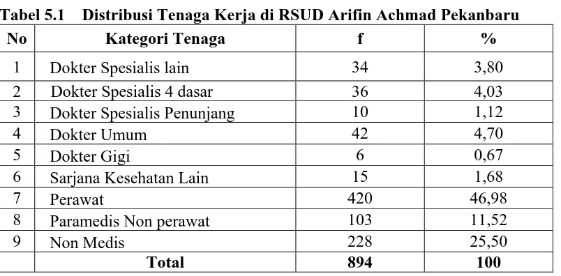 Tabel 5.1    Distribusi Tenaga Kerja di RSUD Arifin Achmad Pekanbaru 