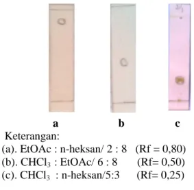 Gambar 7.   Kromatogram hasil analisis KLT  komponen F 4-4 , eluen BAA  (n-butanol/asam asetat/air), penampak  noda NH 3 