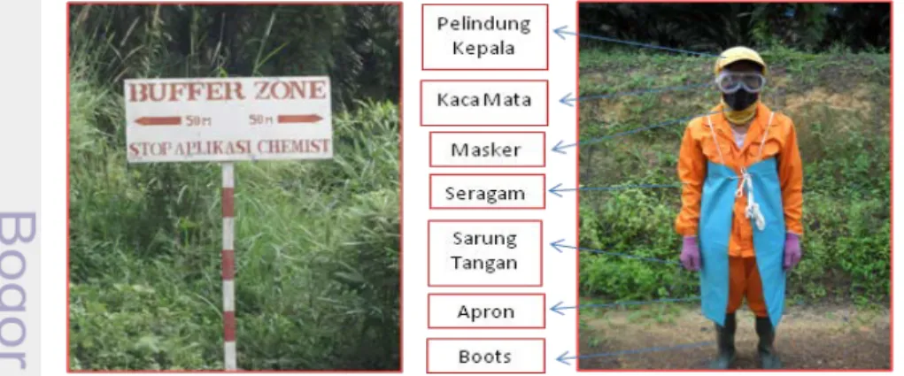 Gambar 1. Area Buffer Zone (kiri) dan Alat Pelindung Diri (kanan)
