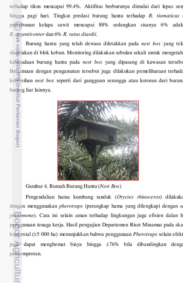 Gambar 4. Rumah Burung Hantu (Nest Box) 