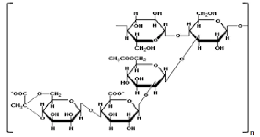 Gambar 1. Struktur kimia gum arab (Williams dan Phillips, 2004) 