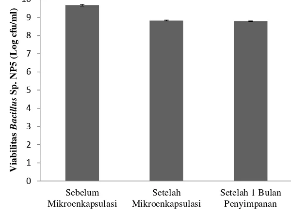 Gambar  2. Viabilitas sel bakteri probiotik Bacillus cereus NP5 