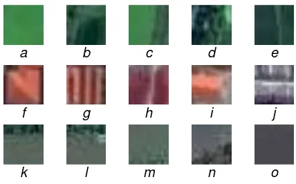 Figure 4. Each 16x16 pixel image data is processed using 3x3 pixels window and shifted every Training image data captured in 16x16 pixels
