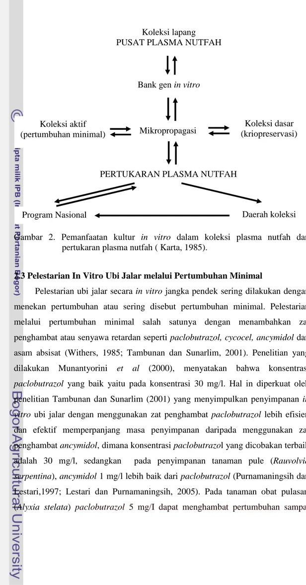 Gambar 2. Pemanfaatan kultur in vitro dalam koleksi plasma nutfah dan pertukaran plasma nutfah ( Karta, 1985).