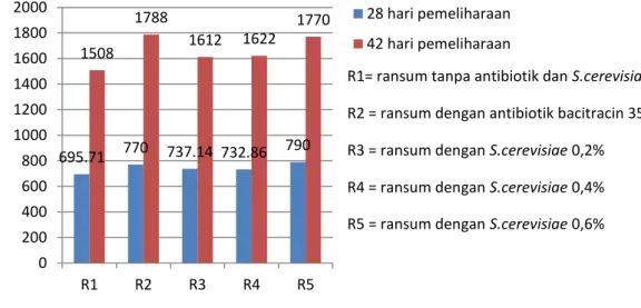 Gambar 4. Bobot Badan Broiler 