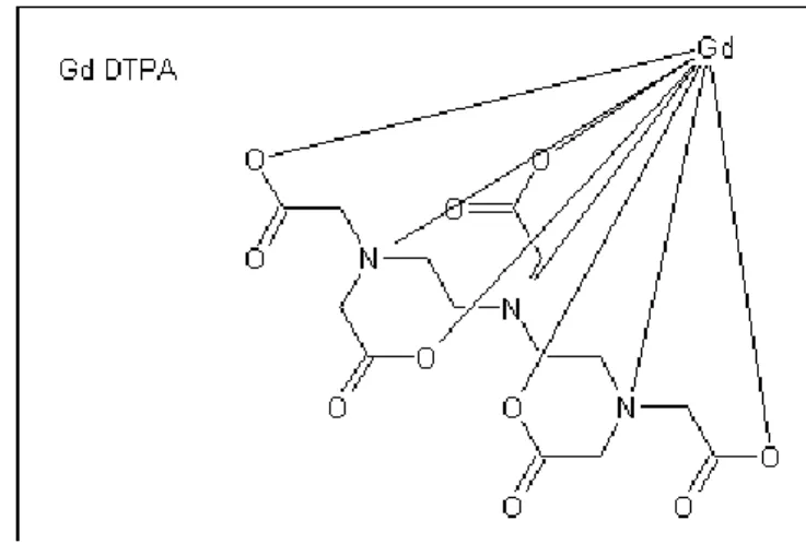 Gambar 1. Dugaan struktur Gd-DTPA 
