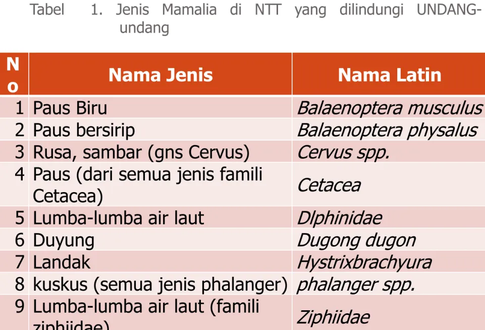 Tabel    1.  Jenis  Mamalia  di  NTT  yang  dilindungi  UNDANG-                     undang 