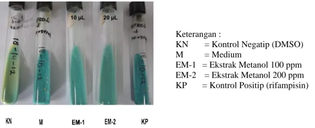 Gambar 1. Daya hambat ekstrak metanol dari kulit batang M. umbellata (Houtt) Stapf var