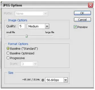 Gambar  Kotak Dialog JPEG Options 