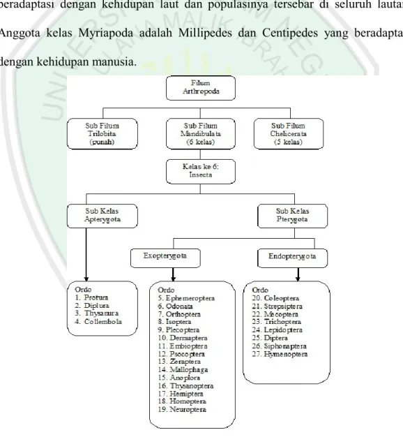 Gambar 2.1 Bagan Klasifikasi Arthropoda (Hadi dkk., 2009). 