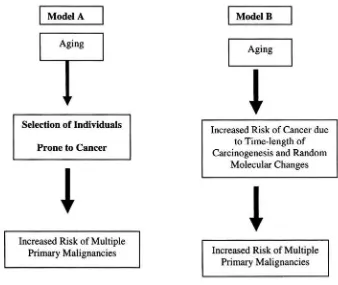 Figure 2. Alternative hypotheses on the increased incidence of multiple primary malignancieswith age 14