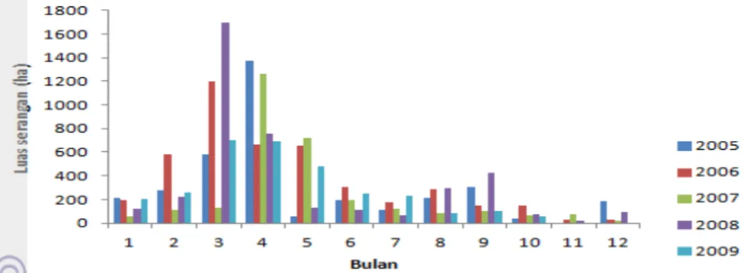 Gambar 4.Luas serangan BLB bulanan di wilayah kajian tahun 2005-2009  Garret  et al. (2006) menyatakan 