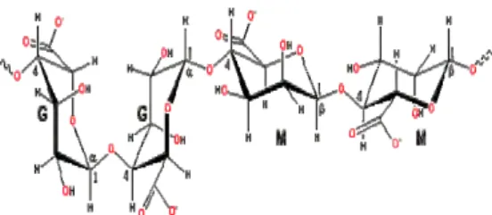 Gambar  2  Ilustrasi persebaran senyawa aktif  tepat di tengah kapsul (a) dan  tersebar di seluruh kapsul (b)