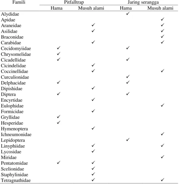 Tabel 5.1. Status arthropoda yang tertangkap dalam pitfalltrap dan jaring serangga disawah                   pasang surut di Kecamatan Maura Telang 