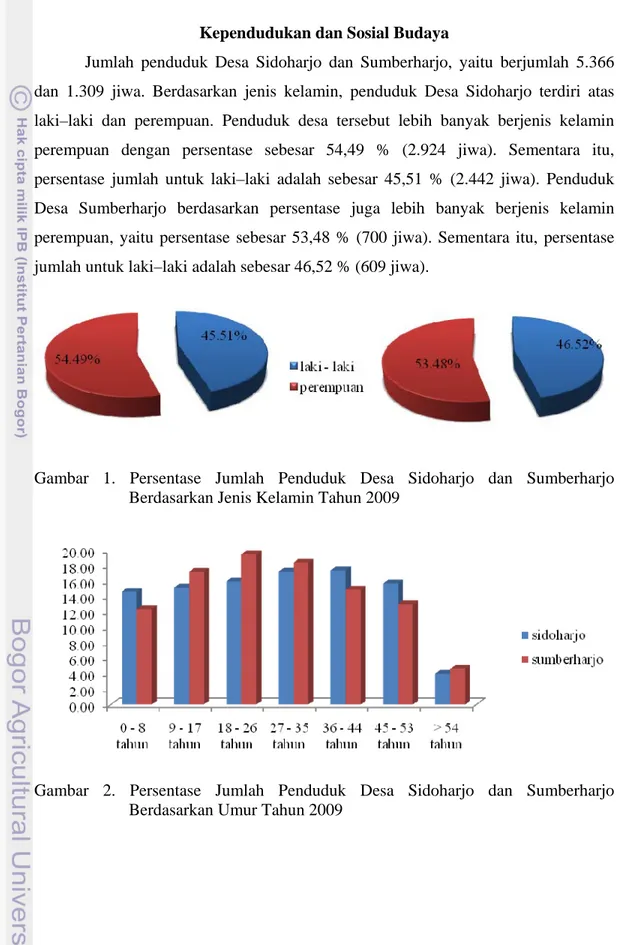 Gambar 1. Persentase Jumlah Penduduk Desa Sidoharjo dan Sumberharjo  Berdasarkan Jenis Kelamin Tahun 2009  