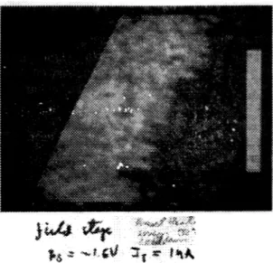 Gambar 2. Image Cu/Si(IOO)  dalam kondisi &#34;Field Stage&#34;