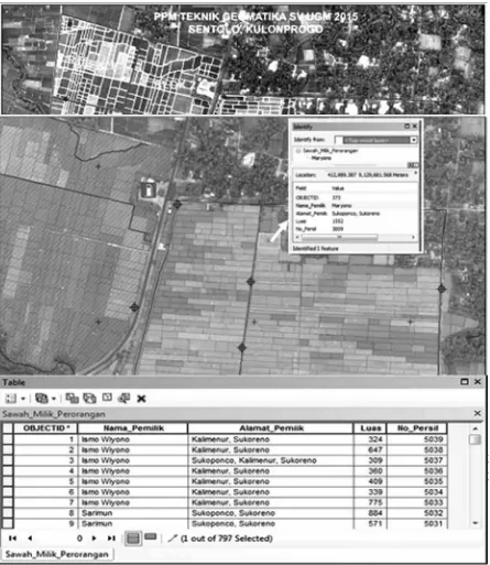 Gambar 3. Hasil Overlay Bidang Sawah di Atas Peta Orthophoto