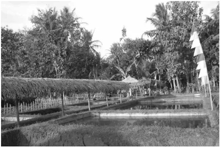 Gambar 2. Kondisi Lingkungan Kolam Ikan di Dusun Kergan