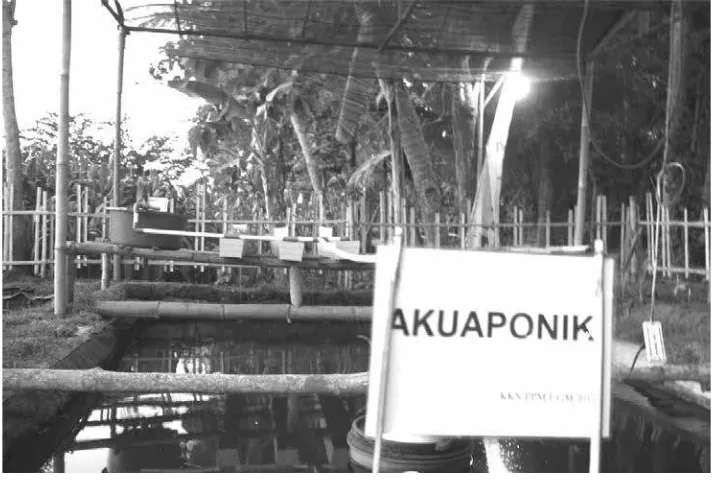 Gambar 9. Kondisi Kolam Percontohan Aquaponic di Dusun Kergan