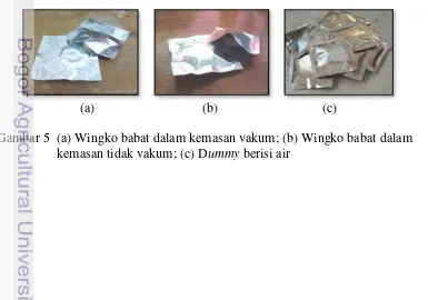 Gambar 5  (a) Wingko babat dalam kemasan vakum; (b) Wingko babat dalam 
