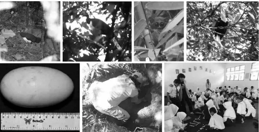 Fig. 4. Some Unique Species (Maleo, Tarsier, and Hornbill), heir Habitats, Maleo’s Egg, 