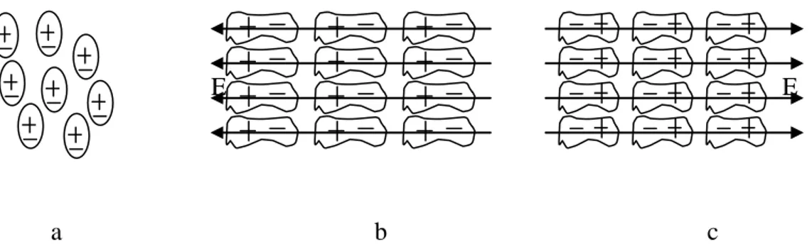 Gambar 2.5. Dampak medan listrik terhadap molekul dielektrik 