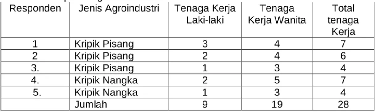 Tabel  1.    Jumlah  tenaga  kerja  yang  digunakan  agroindustri  kripik  pisang  dan  kripik nangka