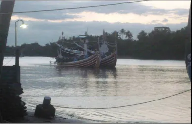 Gambar 5.  Armada  Purse Seine yang Beroperasi di Perairan Selat Bali  
