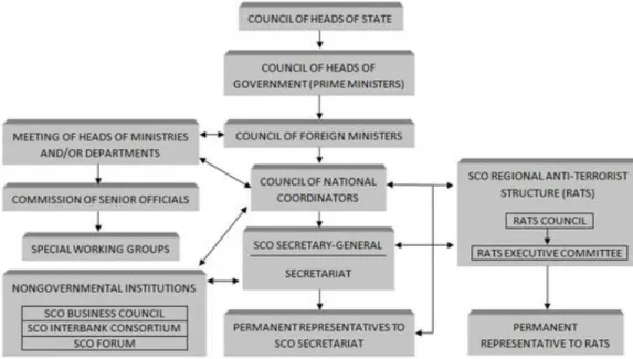 Gambar 1 : Struktur Organisasi Shanghai Cooperation Organization 