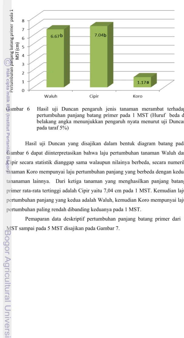 Gambar 6  Hasil uji Duncan pengaruh jenis tanaman merambat terhadap  pertumbuhan panjang batang primer pada 1 MST (Huruf  beda di  belakang angka menunjukkan pengaruh nyata menurut uji Duncan  pada taraf 5%) 