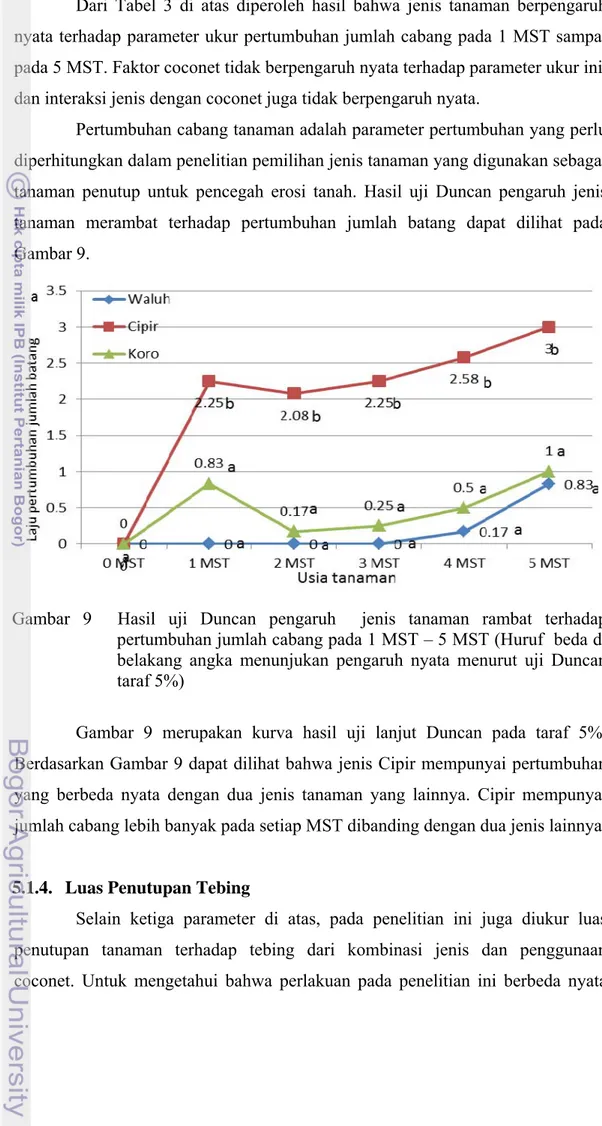 Gambar 9  Hasil uji Duncan pengaruh  jenis tanaman rambat terhadap  pertumbuhan jumlah cabang pada 1 MST – 5 MST (Huruf  beda di  belakang angka menunjukan pengaruh nyata menurut uji Duncan  taraf 5%) 