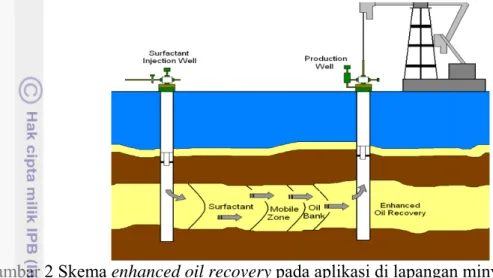 Gambar 2 Skema enhanced oil recovery pada aplikasi di lapangan minyak (Gurgel 