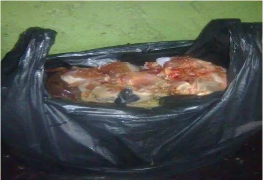 Gambar 8 Pengemasan karkas dengan kantong plastik 