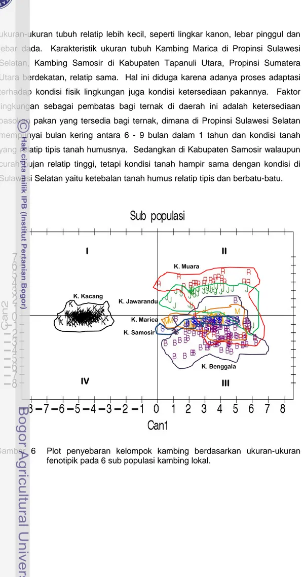 Gambar 6  Plot penyebaran kelompok kambing berdasarkan ukuran-ukuran  fenotipik pada 6 sub populasi kambing lokal